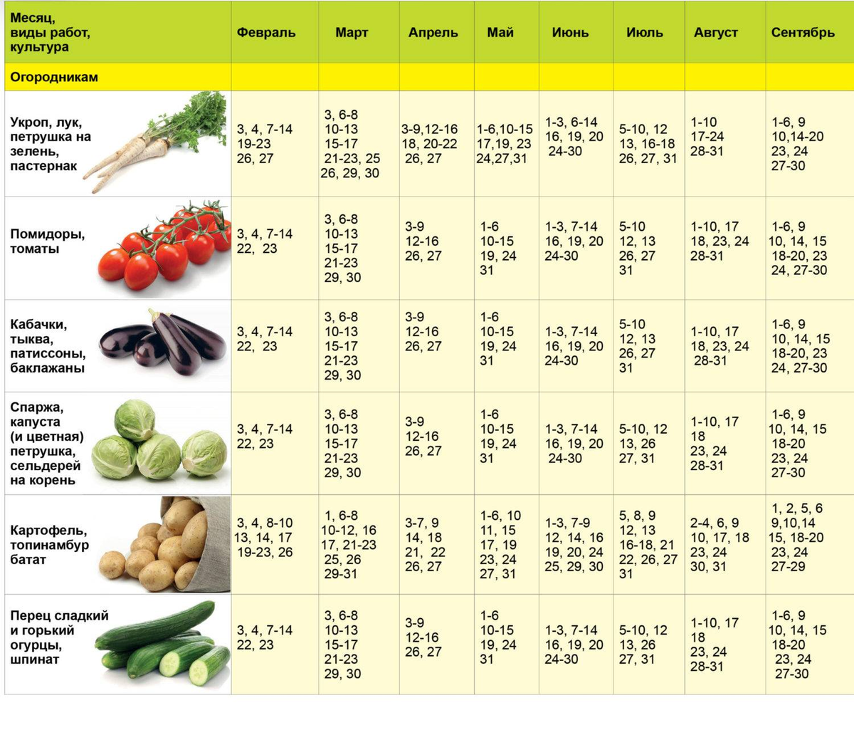 Когда нужно сеять семена помидор. Лунный календарь 2023 посев томатов на рассаду. Календарь для посадки рассады перца томатов. Благоприятные дни для посадки томатов в 2023 году на рассаду. Посевной календарь таблица.