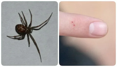 взято из общего доступа