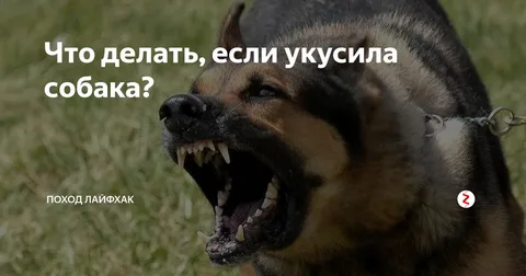 взято из общего доступа