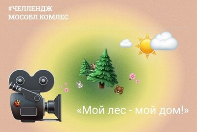    Челлендж «Мой лес - мой дом» © Пресс-служба Комитета лесного хозяйства Московской области