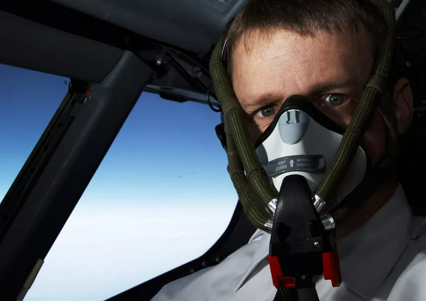 Фотография взята из источника yandex.ru