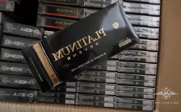 Фото: пресс-центр МВД России 