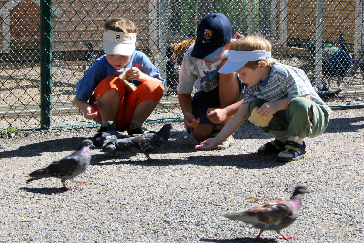 Ювенальная юстиция в Финляндии, где вера в Бога становится «билетом» в ...