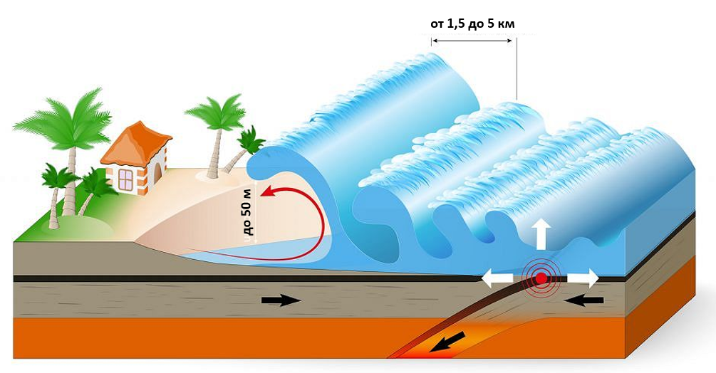 Подводные землетрясения в океане. Подводные землетрясения ЦУНАМИ. ЦУНАМИ схема. Макет ЦУНАМИ. Схема образования ЦУНАМИ.