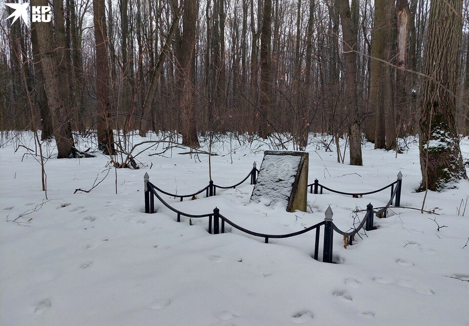     Укрытый снегом памятник в лесу...