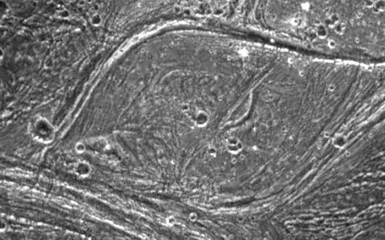 На фото хорошо видна область комплексного тектонизма на поверхности Ганимеда. Форма стала такой необычной из-за движения плит не только относительно друг друга, но и из-за их небольшого вращения. Снимок сделан 06.09.1996 с расстояния 18 522 км.