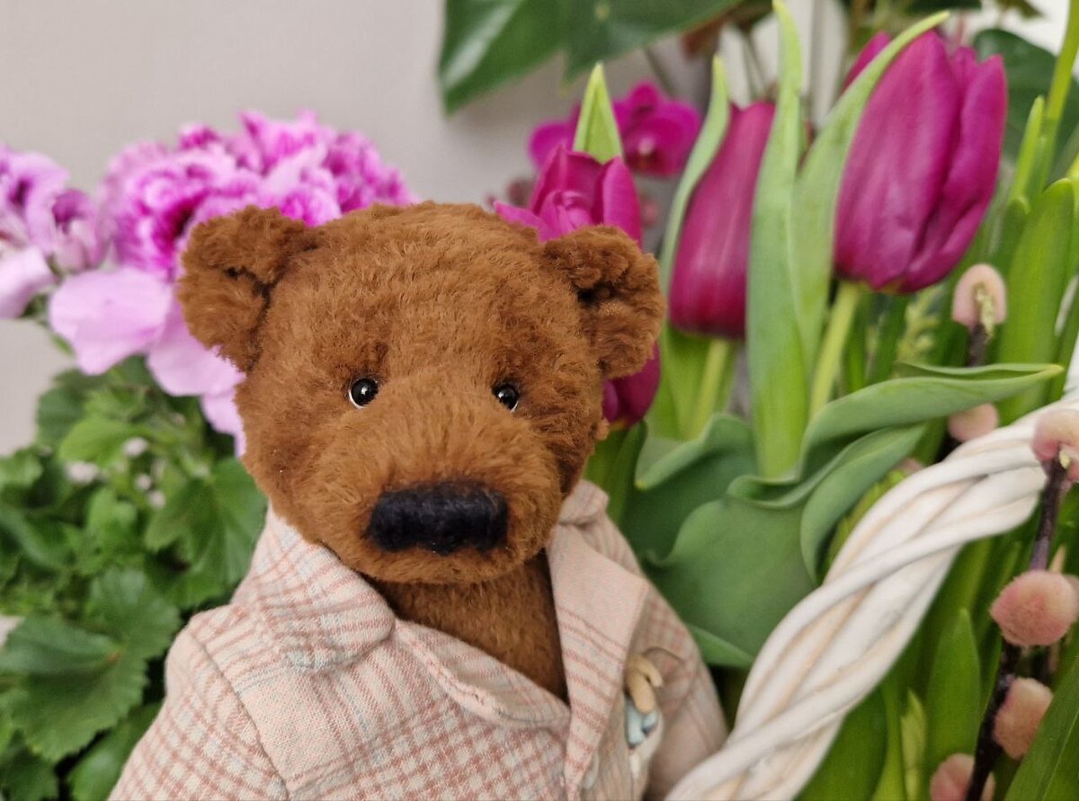 Медведь Федя с курса "Берлога 2.0"