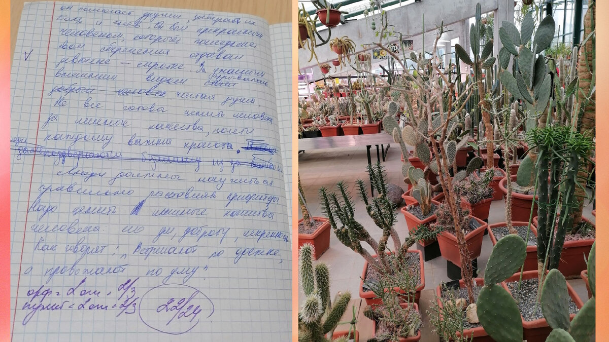 Четвёртая страница сочинения и море кактусов