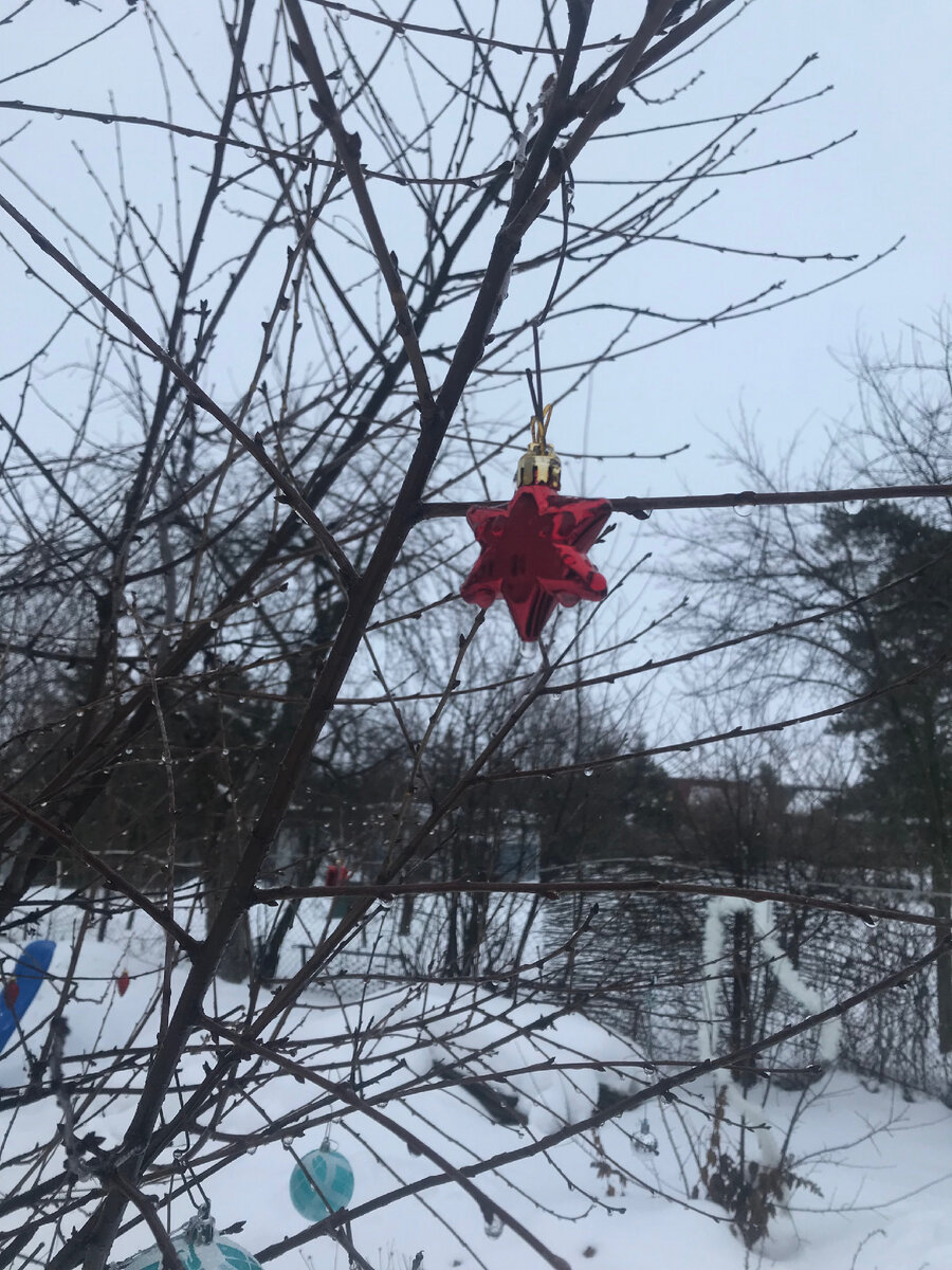 Из собственного архива