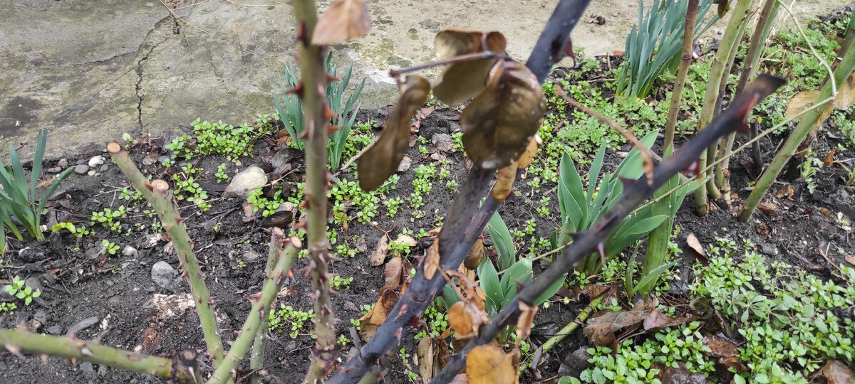 Глория Дей почернела