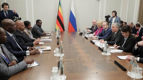    Володин с коллегой из Зимбабве обсудил санкционное давление Запада Юлия Шелковенко