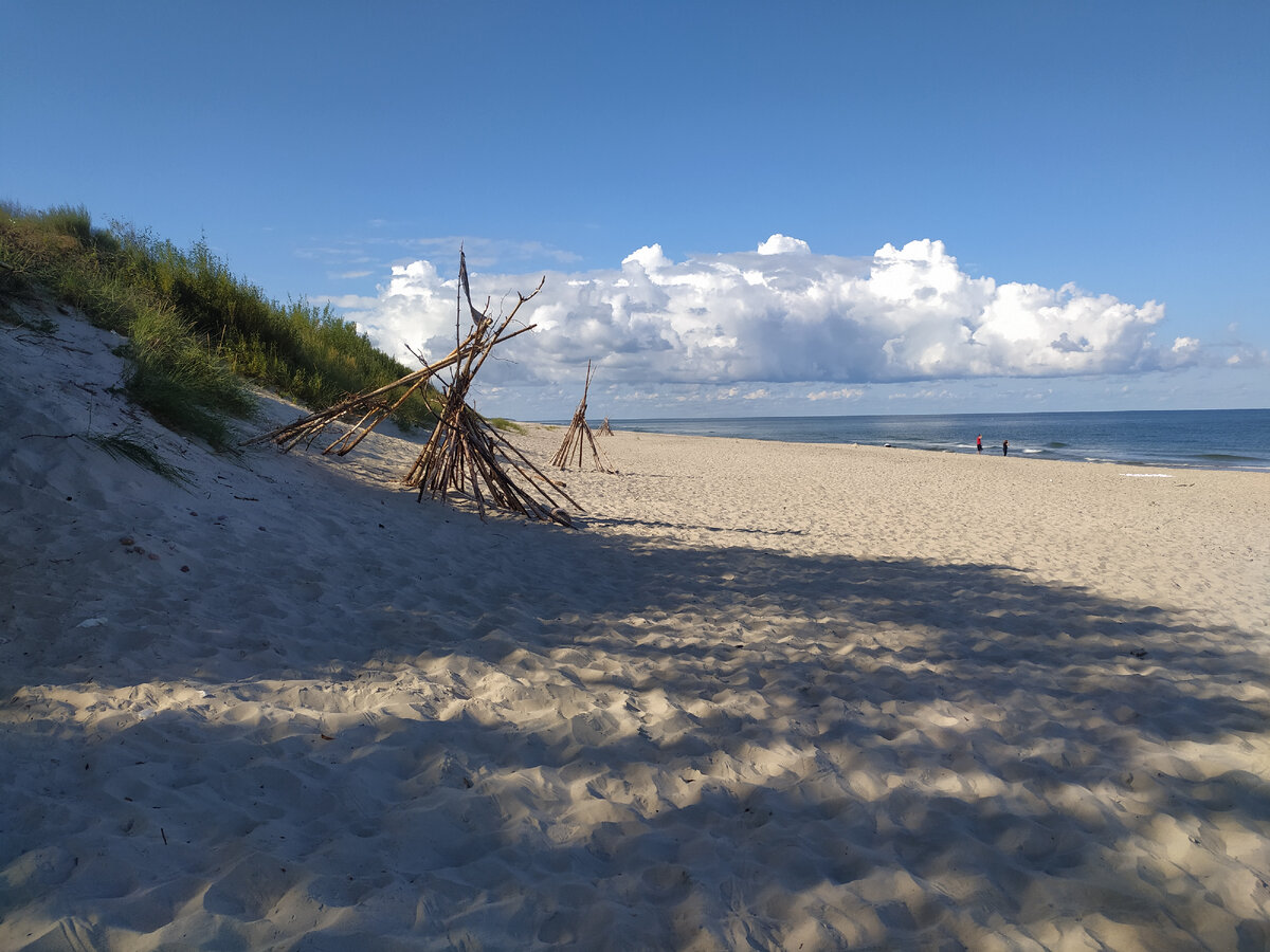 Фото автора: Куршская коса