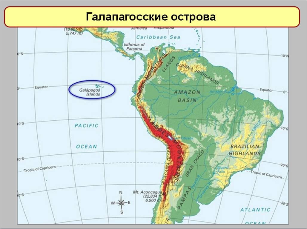 Острова южной америки на карте. Южная Америка острова Галапагос. Остров Галапагос на карте Южной Америки. Галапагосские острова на карте Южной Америки.