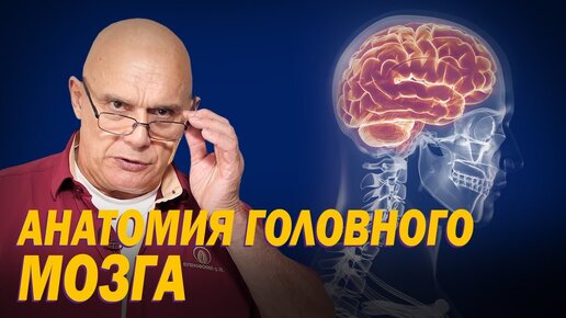 Descargar video: Главный орган человека: от ишемии/инсульта умирает много людей (особенно молодых). Как предугадать проблемы с мозгом. При чем тут сердце