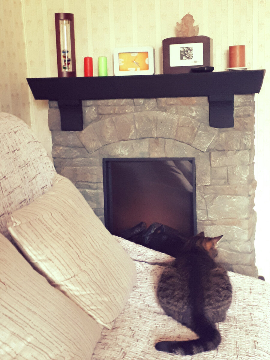 Кошечка Нюша отдыхает после прочтения детектива.😎