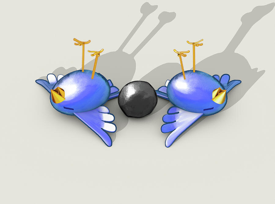 Двух птиц одним камнем