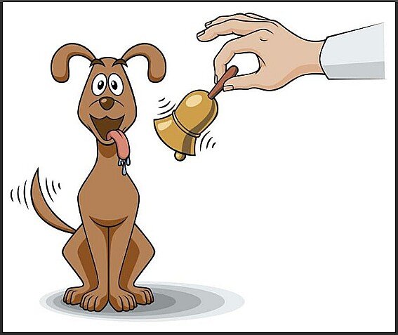                 Основная масса людей живёт по принципу собаки Павлова 