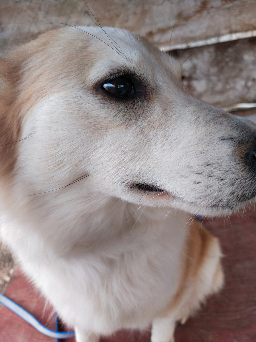 Моя любимка❤️