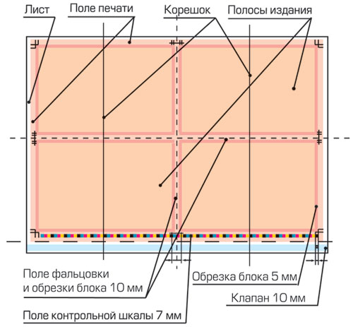 1 печатный лист это сколько. Схема печатного листа. Полоса издания это. Схема монтажа печатного листа. Полоса в брошюре это.