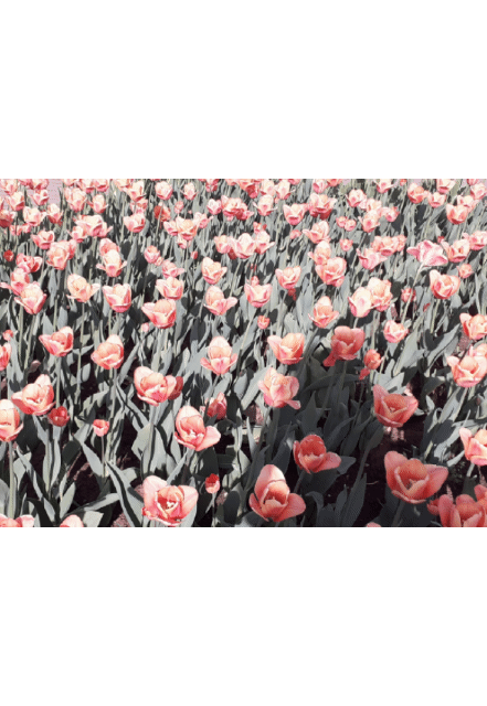 Ой, работает! 