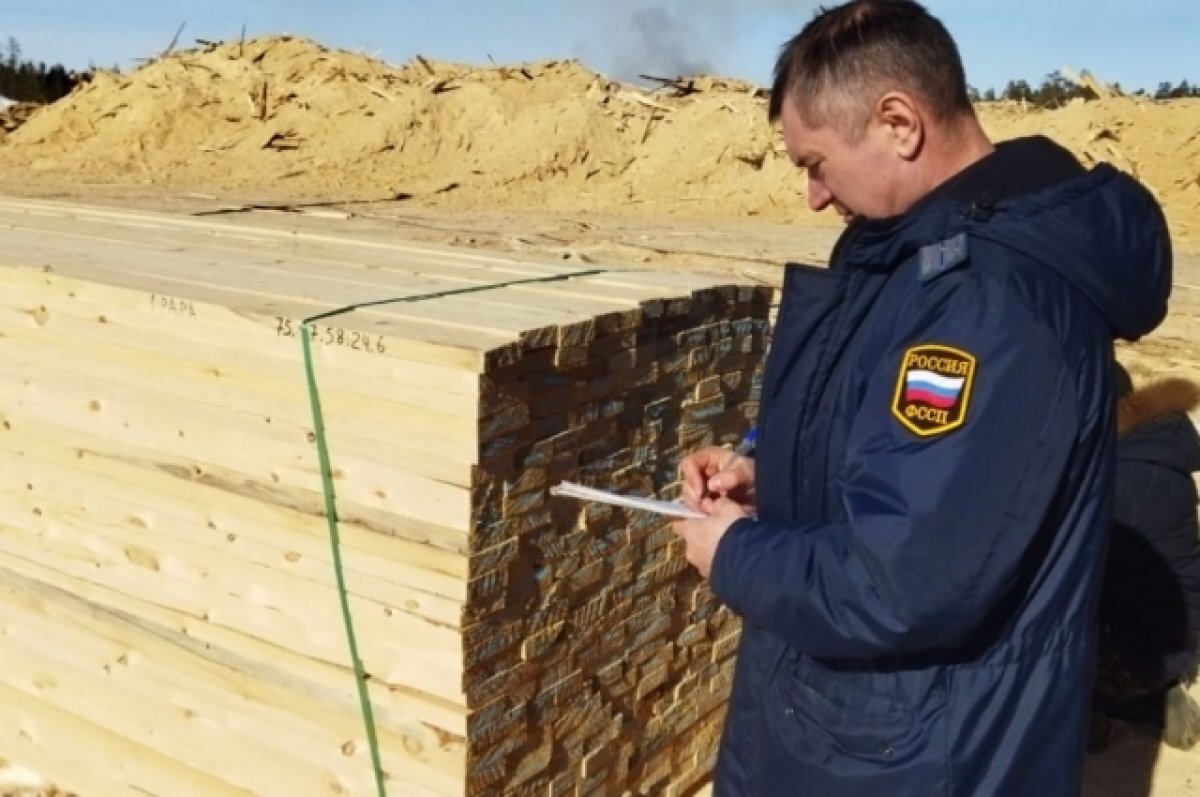    Приставы арестовали более 4 тысяч кубометров древесины в Томской области