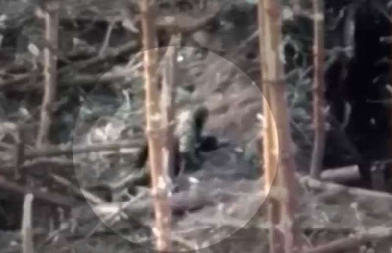    Русский солдат, какой и должен быть: рассказали о подвигах простого героя из Клинцовской дивизии Александра «Кубань» Мальцева avchernov