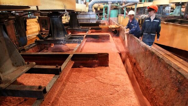    © Sputnik / Андрей Александров