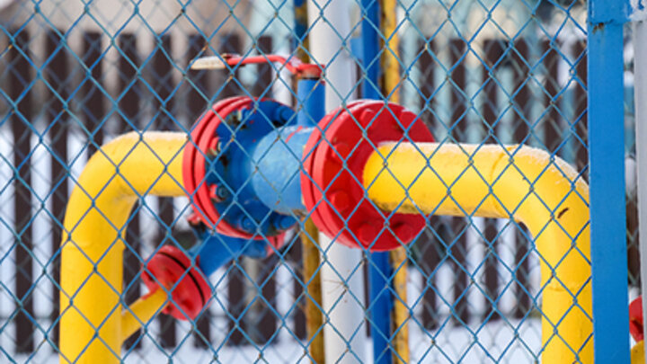 ELENA MAYOROVA/GLOBALLOOKPRESS