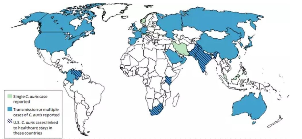 Фото Centers for Disease Control and Prevention/Wikimedia Commons