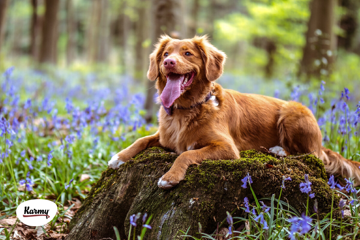 Авторское изображение с использованием картинки с фотостока "Unsplash"