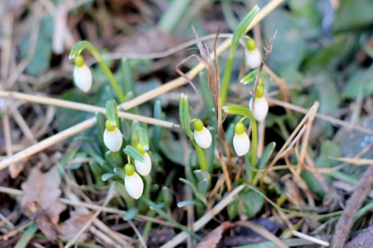    За один день Тула столкнулась и с майским теплом, и с октябрьским дождём