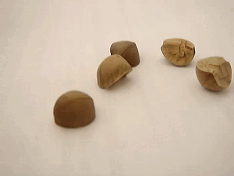 Паранормальное явление. Режиссерская версия. 