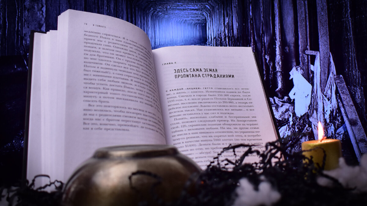 Фото сделано автором.