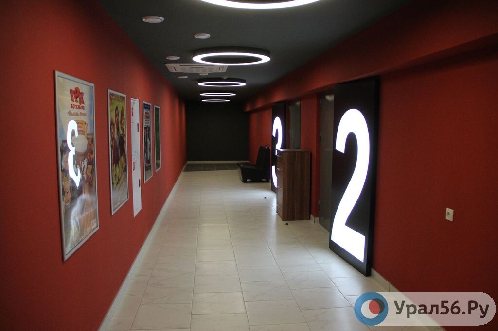    «Ищите правильных пиратов»: Дмитрий Медведев поддержал нелегальное скачивание западных фильмов и музыки