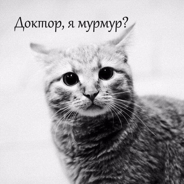 Дэв Zалеоc. Записки из Шамбалы Scale_1200