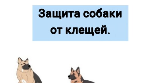 Про средства от клещей для собак. Капли, таблетки, ошейники - что выбрать.