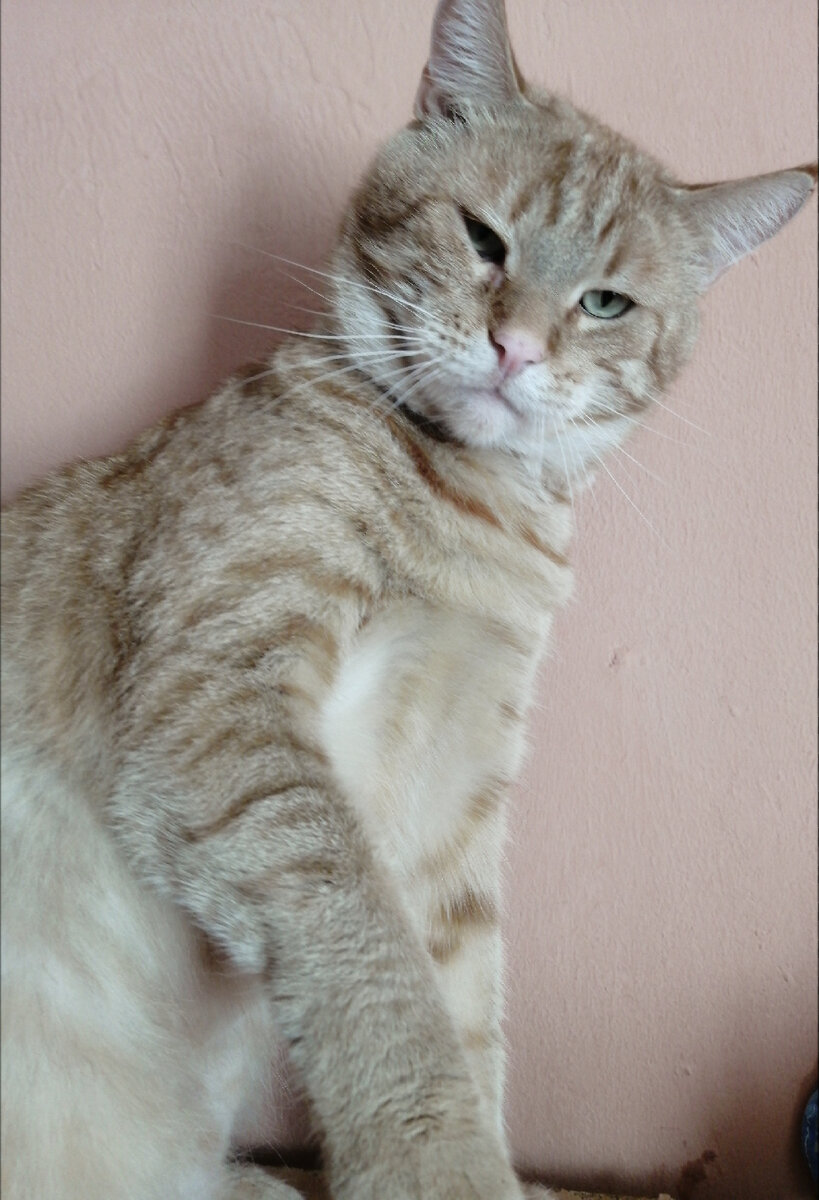 Шону на половину мейкун)) фоткаться не любит(((