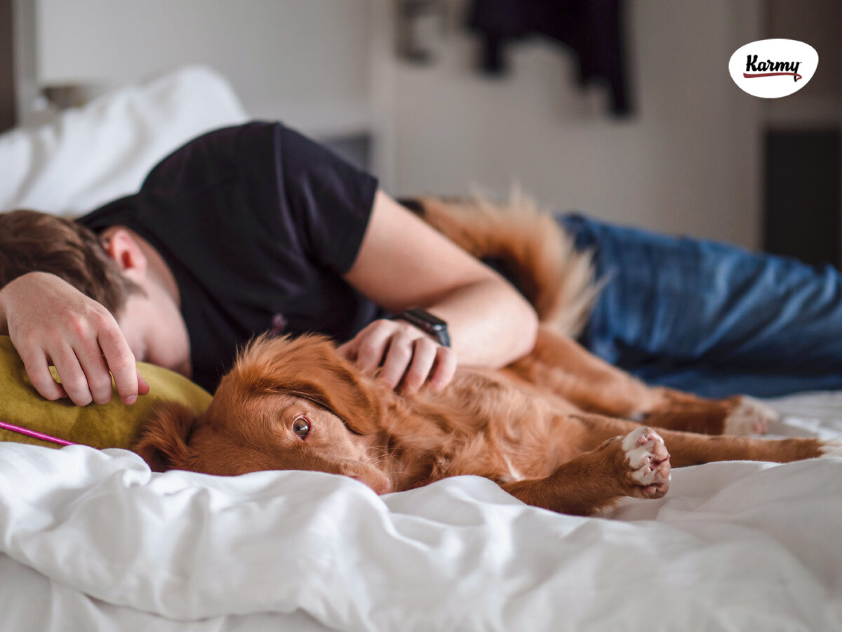 Авторское изображение с использованием картинки с фотостока "Unsplash"