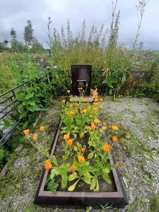     Фото: МК Ямал