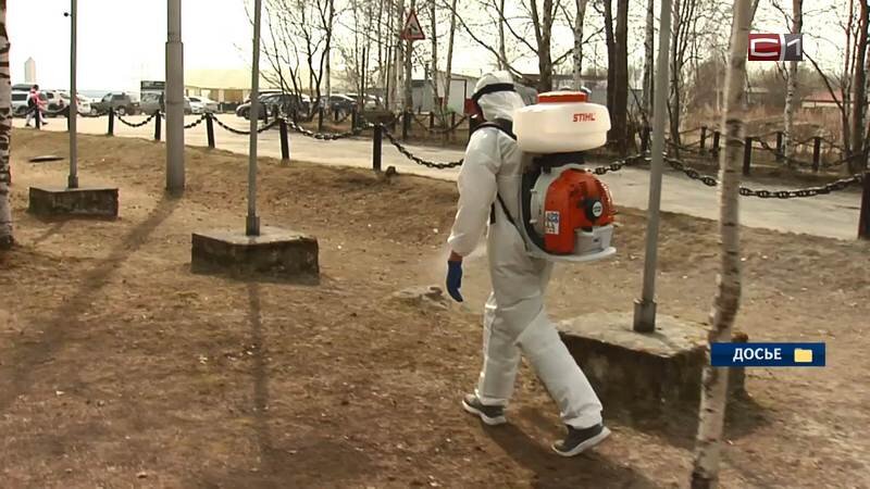    Начало обработки зеленых зон Сургута от клещей запланировано на конец апреля