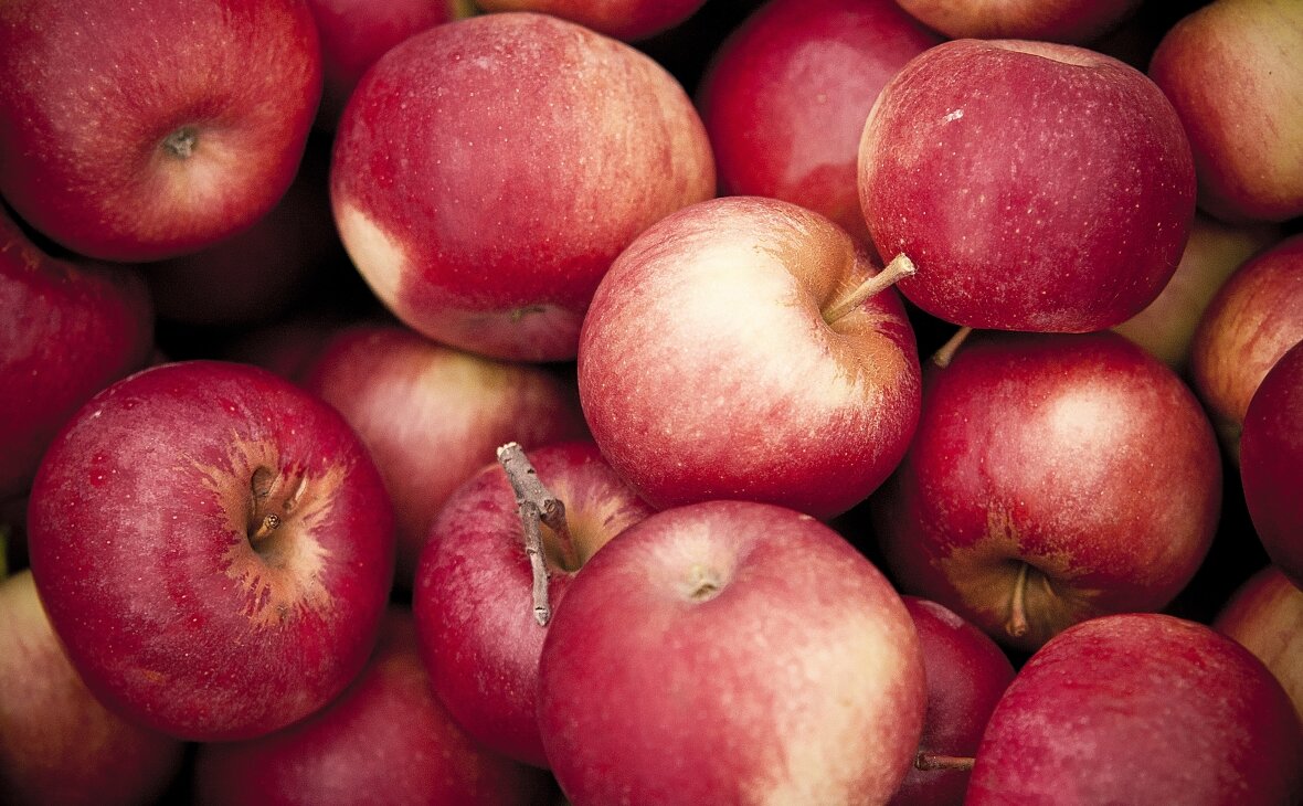 Фото: ru.freepik.com