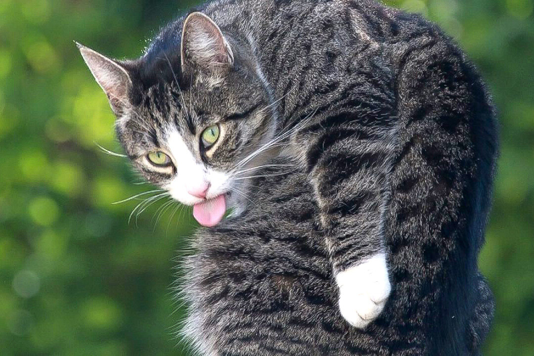 Фото из интернета. 