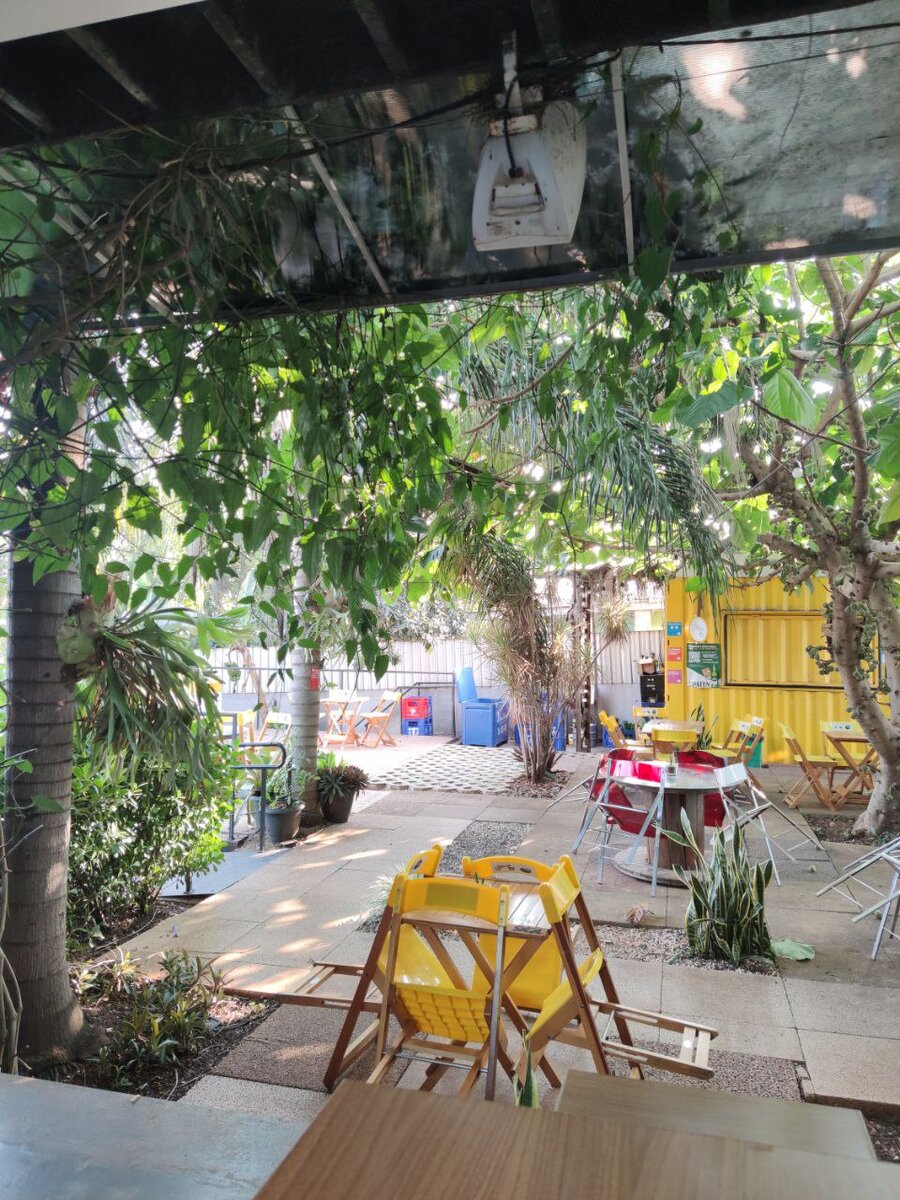 Утренний тихий хостел. Справа инжировое дерево