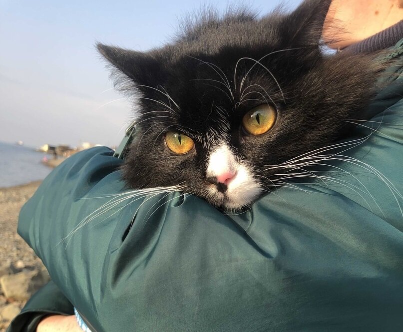 На прогулке.