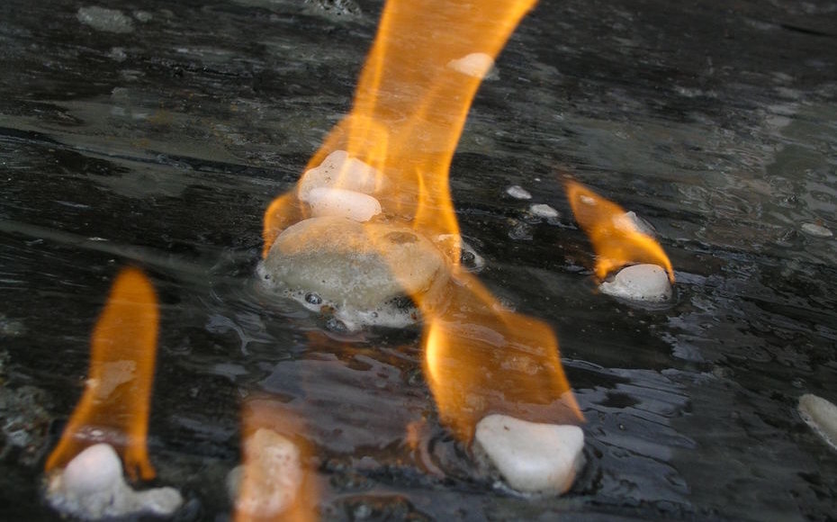    Фото: из открытых источников