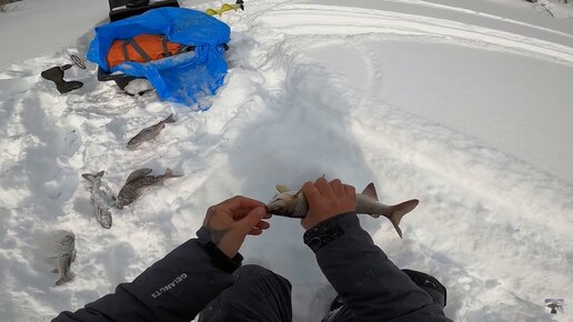 Рыбалка в эвенкии зимой видео: ловля рыбы на замерзших озерах