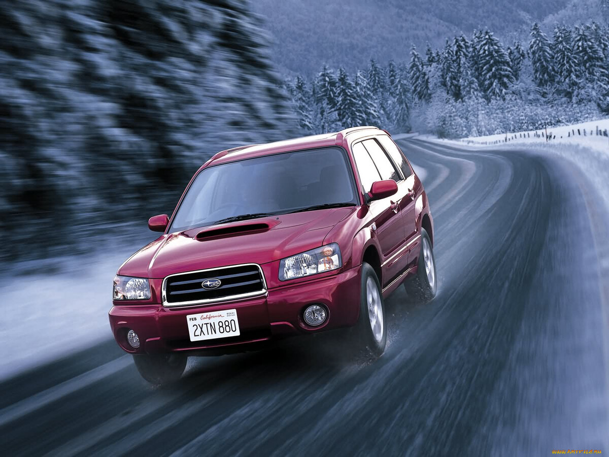 Картинки subaru forester