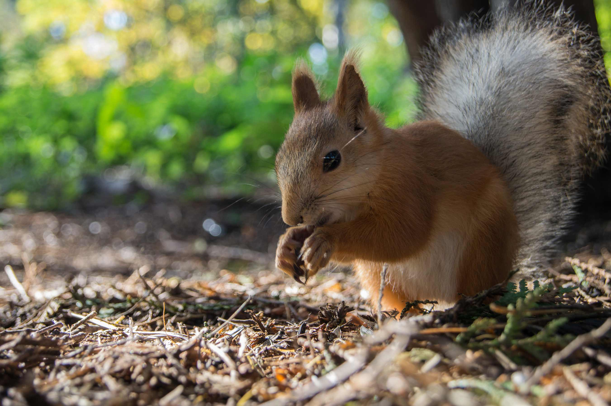 Фото из интернета