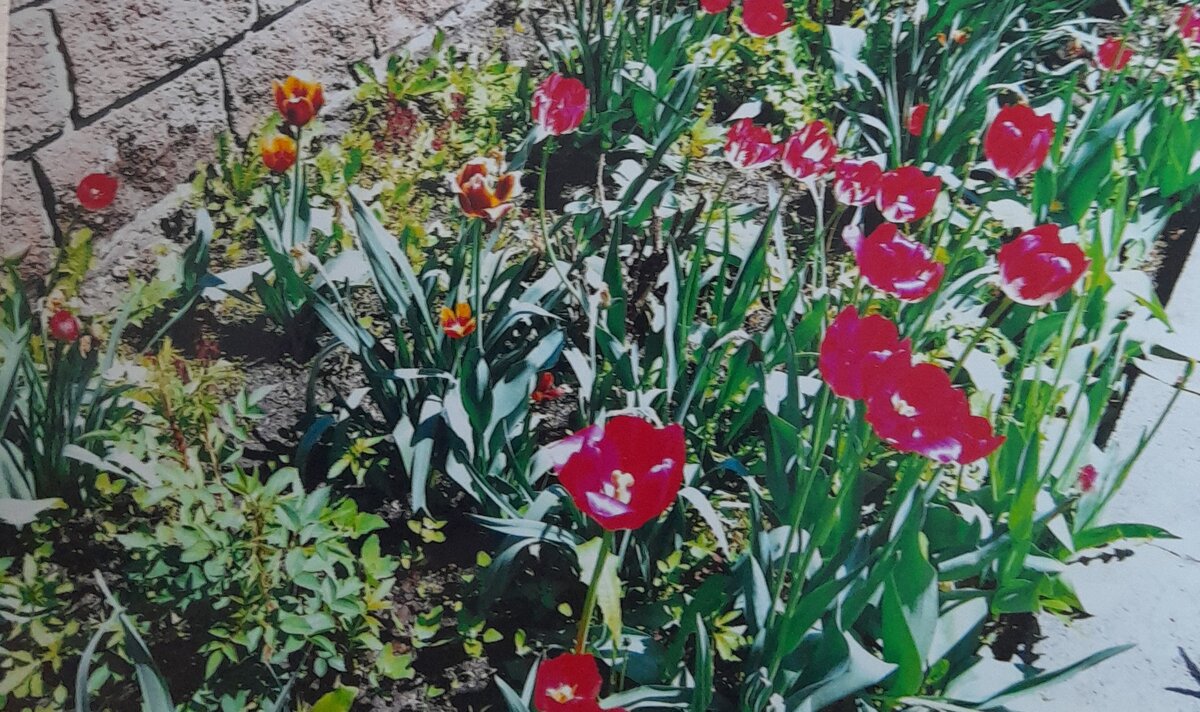 Фото автора 