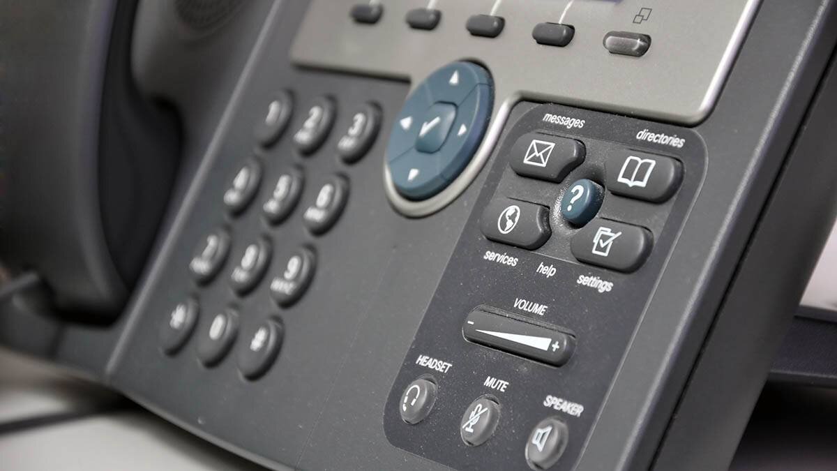    Фото: shutterstock